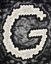 G-18