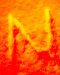 N-19