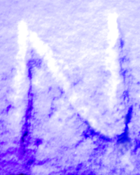 N-20