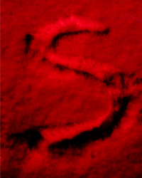 S-25