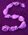 S-5